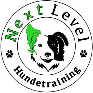 Logo der Hundeschule Next Level Hundetraining