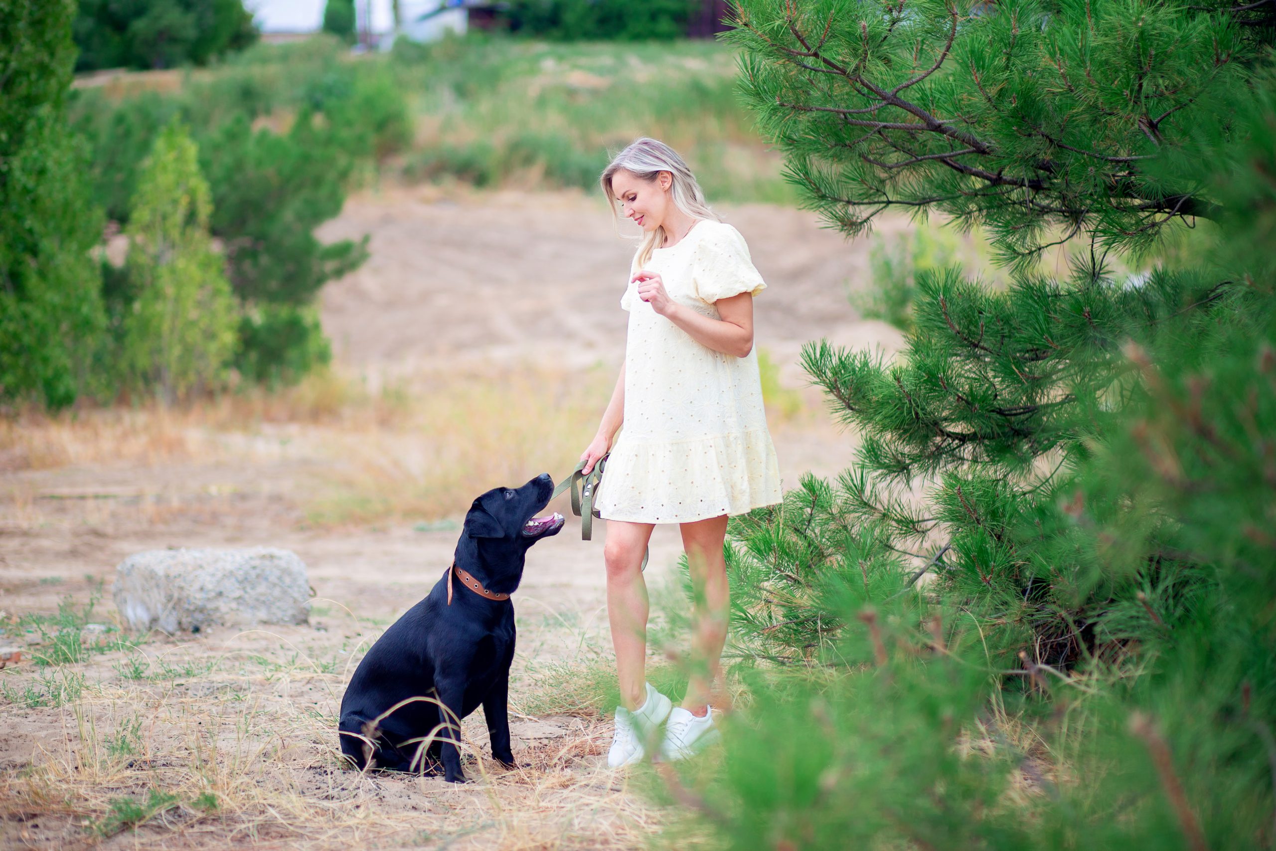Eine junge Frau trainiert mit ihrem Labrador Hund.
