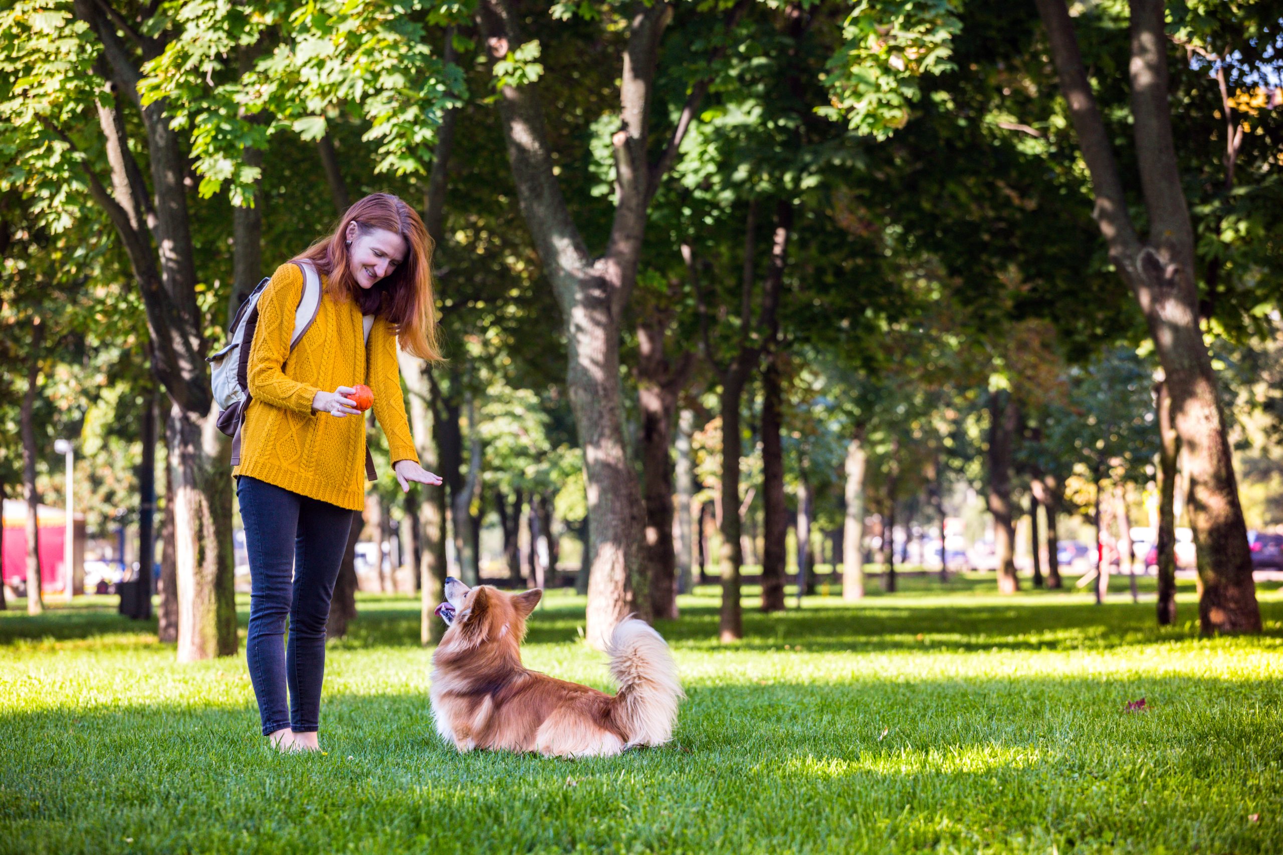 Mädchen trainiert mit Hund im Park.
