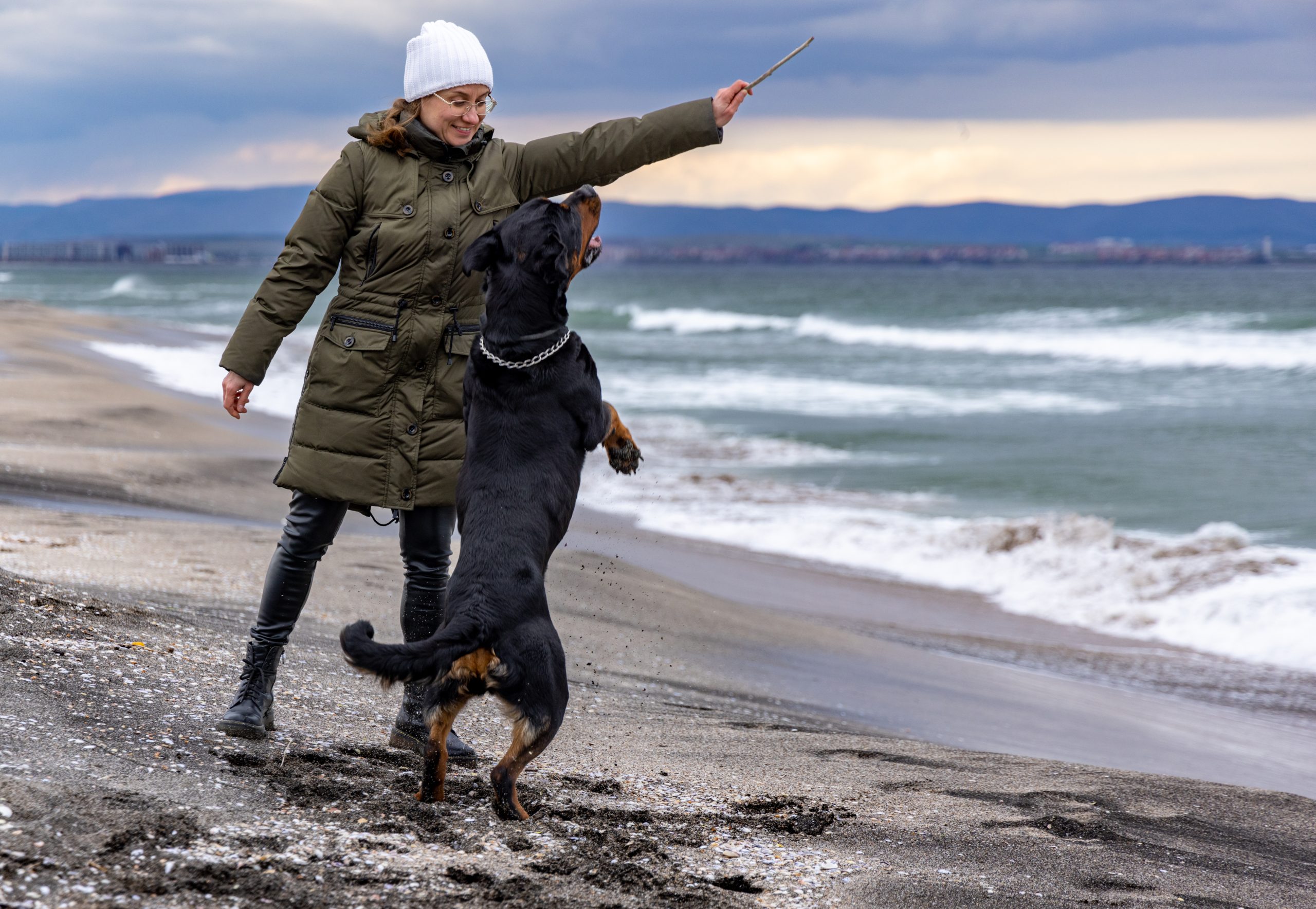Frau spielt im Winter mit ihrem Rottweiler Hund am Strand und wirft Stöckchen.